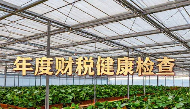 年度财税健康检查的使用与维护建议